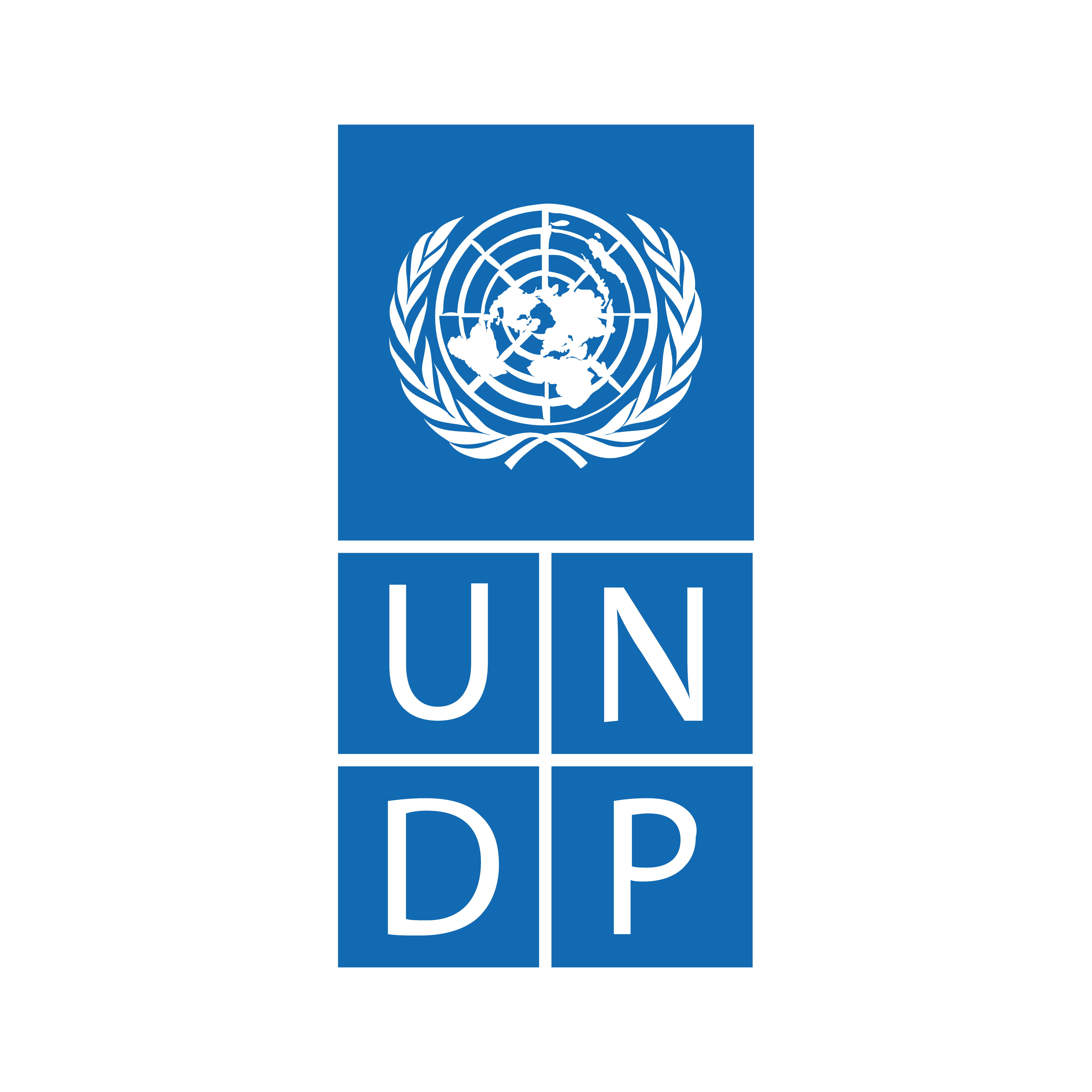 Colored_UNDP Logo